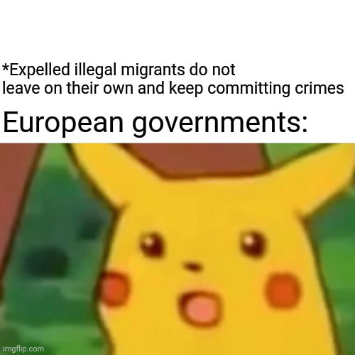 Expelled illegal migrants do not leave on their own and keep committing crimes European governments A