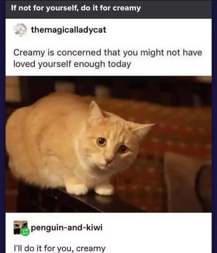 If not for yourself do it for creamy themagicalladycat Creamy is concerned that you might not have loved yourself enough today npenguin and kiwi Il do it for you cream