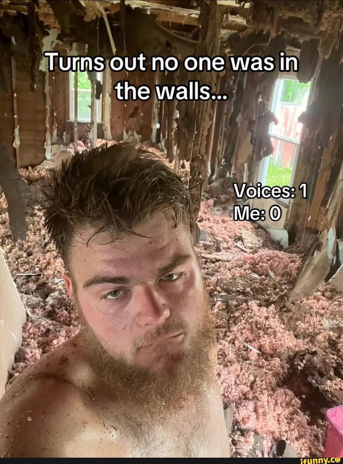 Turns out no one was in the walls... Voices: 1 Me: 0