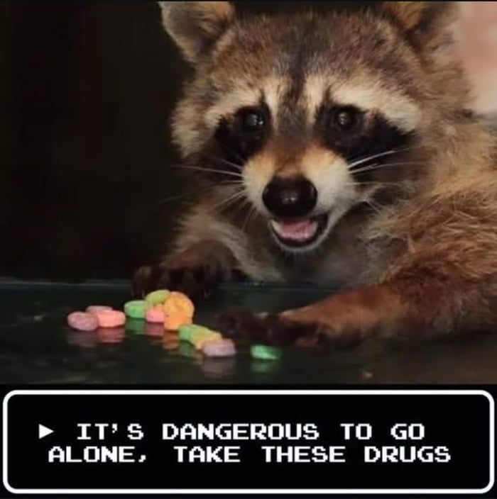 IT'S DANGEROUS TO GO ALONE, TAKE THESE DRUGS