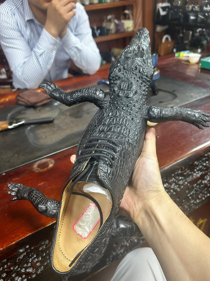 A person holds a unique shoe made from an entire crocodile or alligator, with its head, legs, and tail forming the shoe's design. Another person is visible in the background.