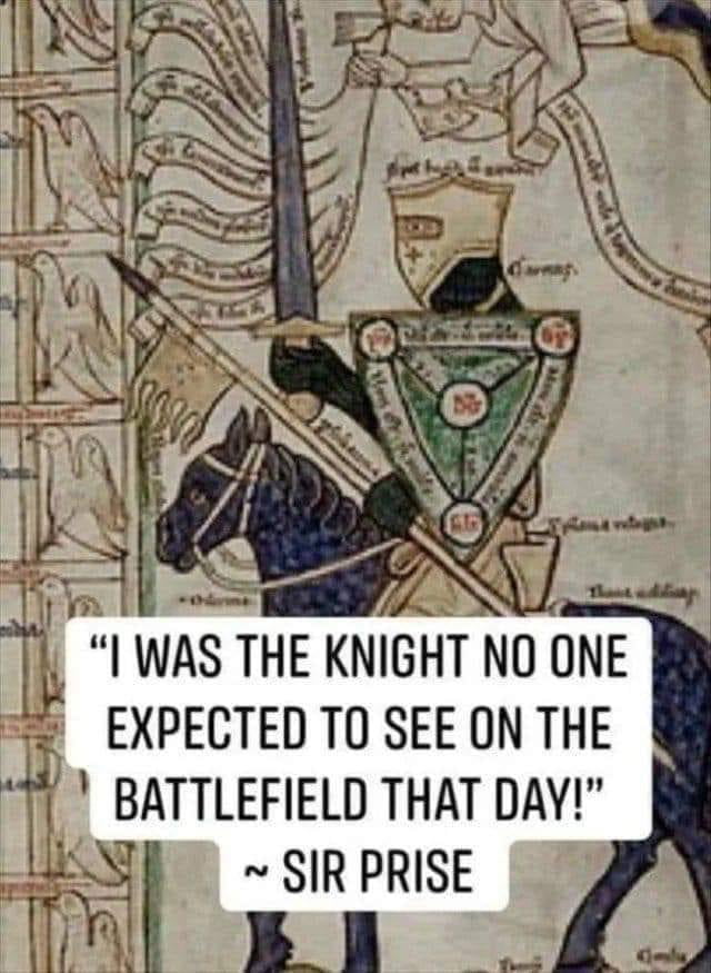 I WAS THE KNIGHT NO ONE EXPECTED TO SEE ON THE BATTLEFIELD THAT DAY SIR PRISE