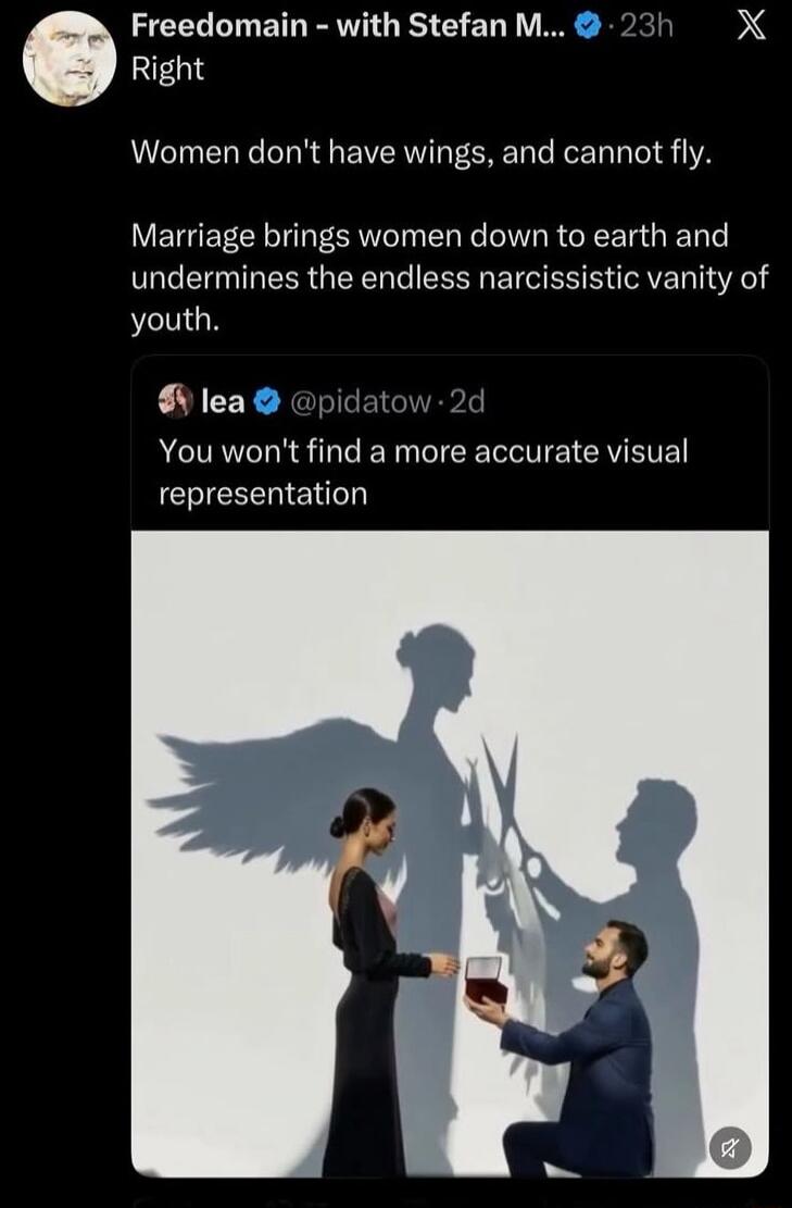Freedomain - with Stefan M... Right. Women don't have wings, and cannot fly. Marriage brings women down to earth and undermines the endless narcissistic vanity of youth. lea @pidatow. You won't find a more accurate visual representation.