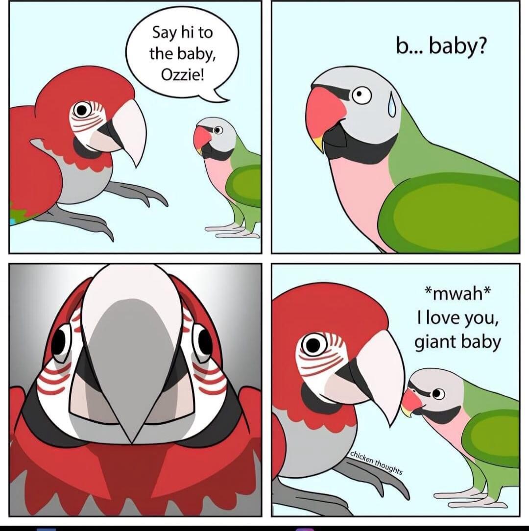 say hito the baby 0 mwah Ilove you giant baby