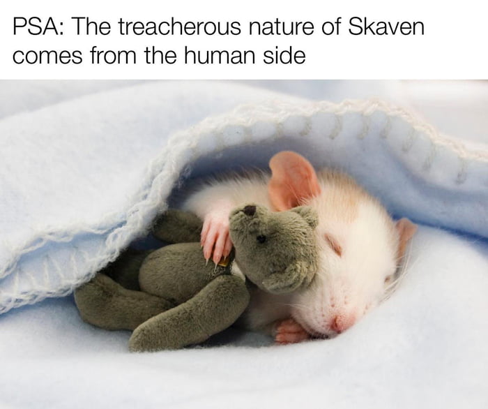 PSA The treacherous nature of Skaven comes from the human side