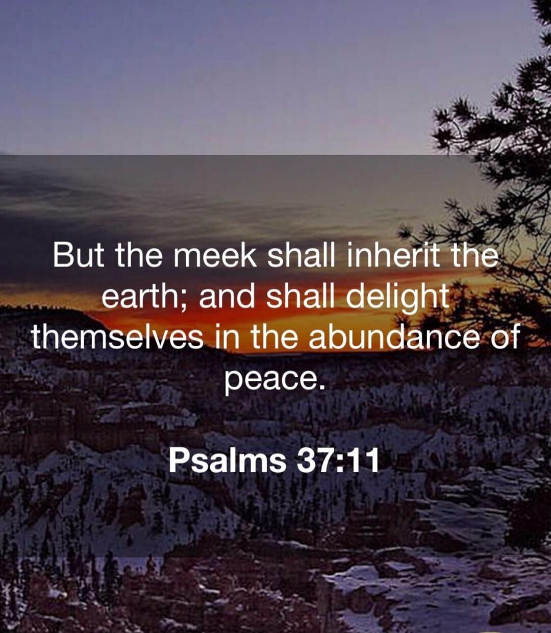 But the meek shall inherit the earth; and shall delight themselves in the abundance of peace. Psalms 37:11