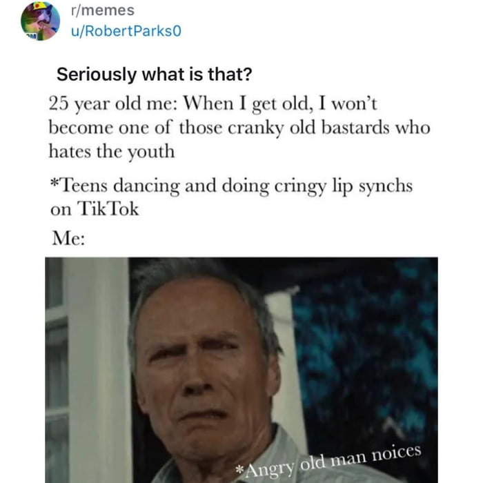 rmemes uRobertParks0 Seriously what is that 25 year old me When I get old I wont become one of those cranky old bastards who hates the youth Teens dancing and doing cringy lip synchs on TikTok Me Bidgman N1 Angry