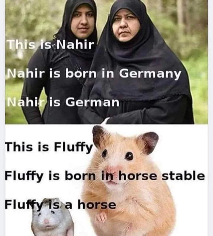 LT 1T B W T T hiis elTy T This is Fluyt o Fluffy is born ily horse stable Fluffy_sa horse G A