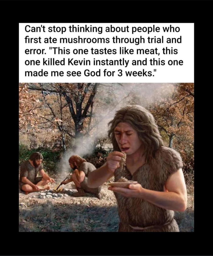 Cant stop thinking about people who first ate mushrooms through trial and error This one tastes like meat this one killed Kevin instantly and this one made me see God for 3 weeks