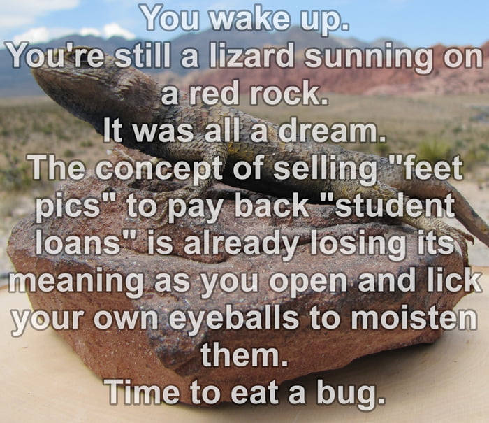 AR eat a bug