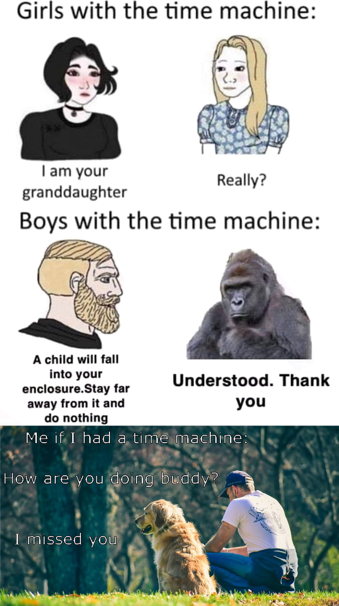 Girls with the time machine am your granddaughter Really A child will fall into your enclosureStay far Understood Thank away from it and do nothing