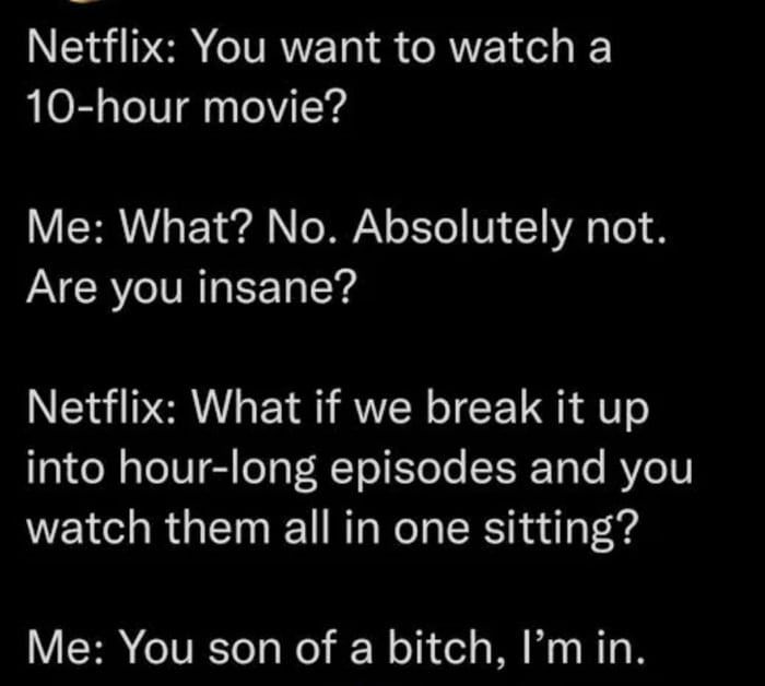 Netflix You want to watch a 10 hour movie Me What No Absolutely not Are you insane Netflix What if we break it up into hour long episodes and you WELC R GEN T R Wl RNl oF d Me You son of a bitch Imin