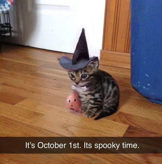 Its October 1st Its spooky time Fr