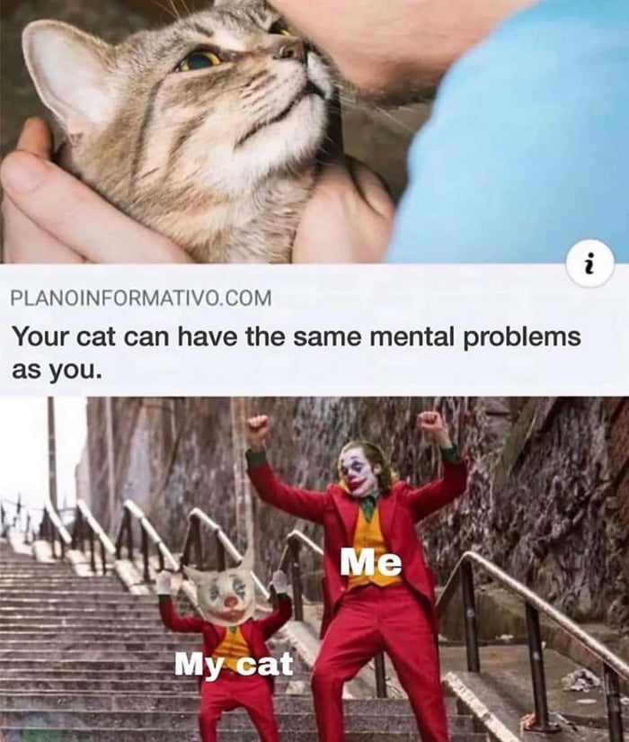 ORMATIVOCOM Your cat can have the same mental problems