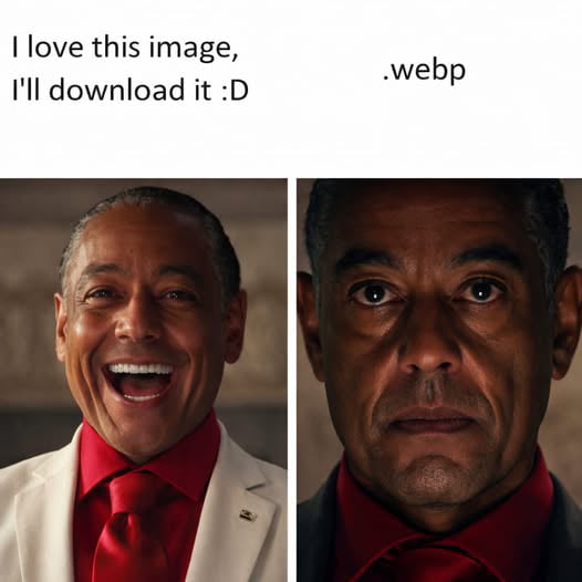 I love this image, I'll download it :D .webp