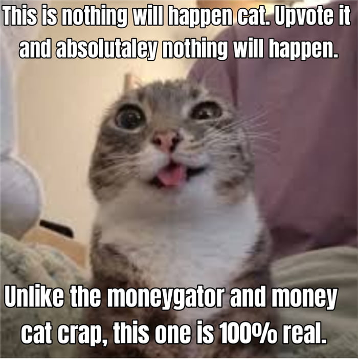 This is nothing will happen cat. Upvote it and absolutaley nothing will happen. Unlike the moneygator and money cat crap, this one is 100% real.