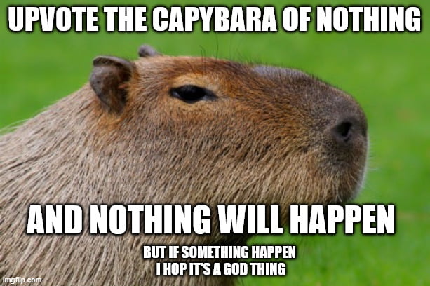 UPVOTE THE CAPYBARA OF NOTHING AND NOTHING WILL HAPPEN BUT IF SOMETHING HAPPEN I HOP IT'S A GOD THING