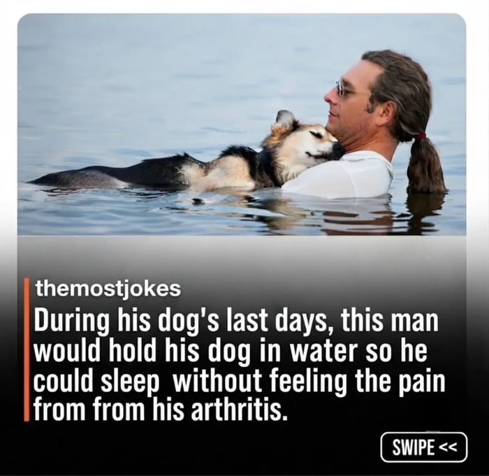 During his dog's last days, this man would hold his dog in water so he could sleep without feeling the pain from his arthritis.