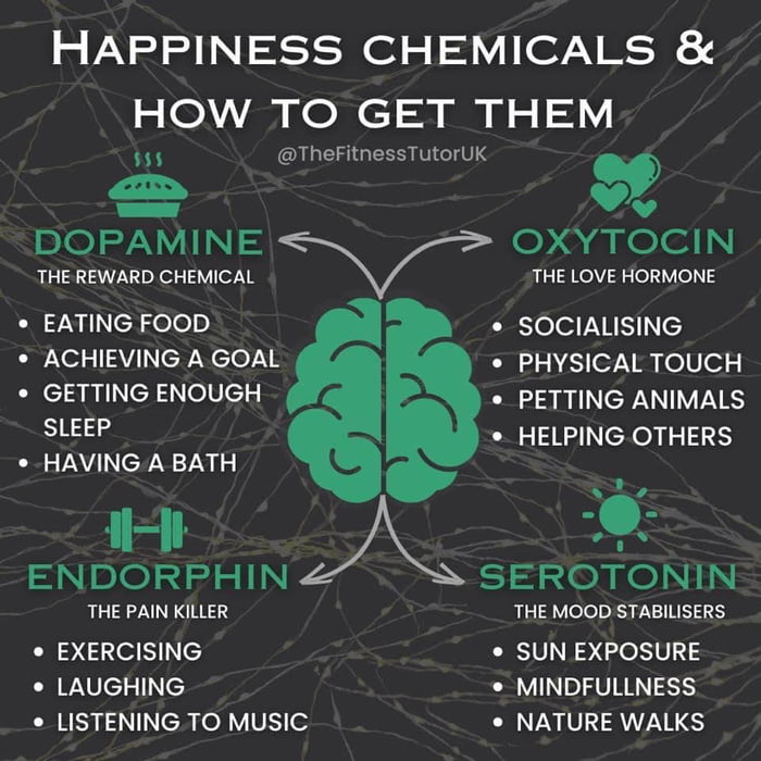 HAPPINESS CHEMICALS HOW TO GET THEM 133 QULERIGESSITTIe 4 DOFAMINE e ayelell THE REWARD CHEMICAL THE LOVE HORMONE EATING FOOD SOCIALISING ACHIEVING A GOAL e PHYSICAL TOUCH GETTING ENOUGH o PETTING ANIMALS SLEEP HELPING OTHERS HAVING A BATH R ENDORPHIN SEROTONIN THE PAIN KILLER THE MOOD STABILISERS EXERCISING SUN EXPOSURE LAUGHING R VIINpIHUTIN 2SS CREC AN AoV V e3 NATURE WALKS