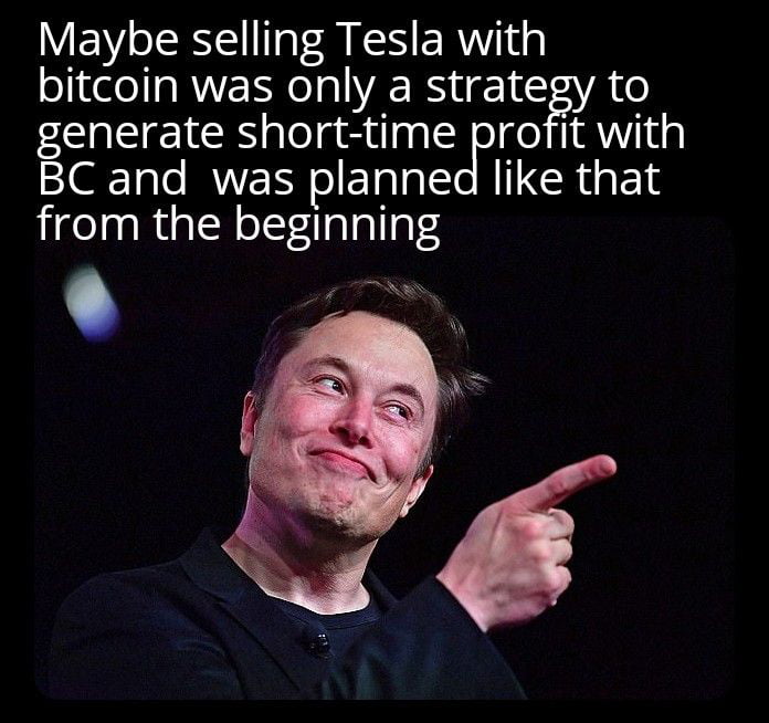 Maybe selling Tesla with bitcoin was only a strategy to generate short time profit with BC and was planned like that jigelagRuplNolrilalalla