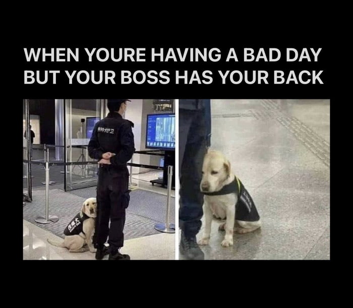 WHEN YOURE HAVING A BAD DAY EIUN I 01U 39T0 SR XS 0V3371