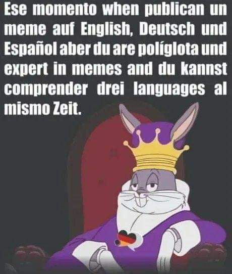 Ese momento when publican un meme auf English Deutsch und Espaiiol aber du are poliglota und expert in memes and du kannst comprender drei lanunaues al mismo Zeit