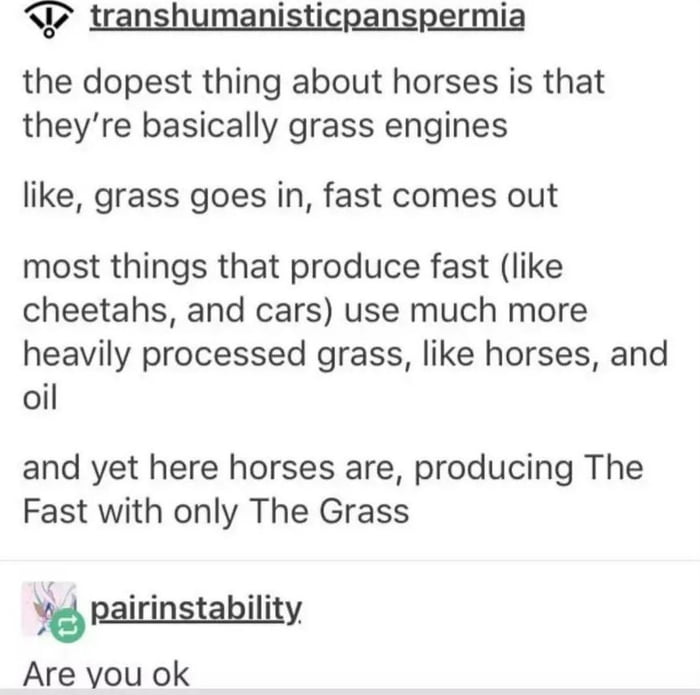 the dopest thing about horses is that theyre basically grass engines like grass goes in fast comes out most things that produce fast like cheetahs and cars use much more heavily processed grass like horses and oil and yet here horses are producing The Fast with only The Grass jpgiringtgbiligy Are you ok