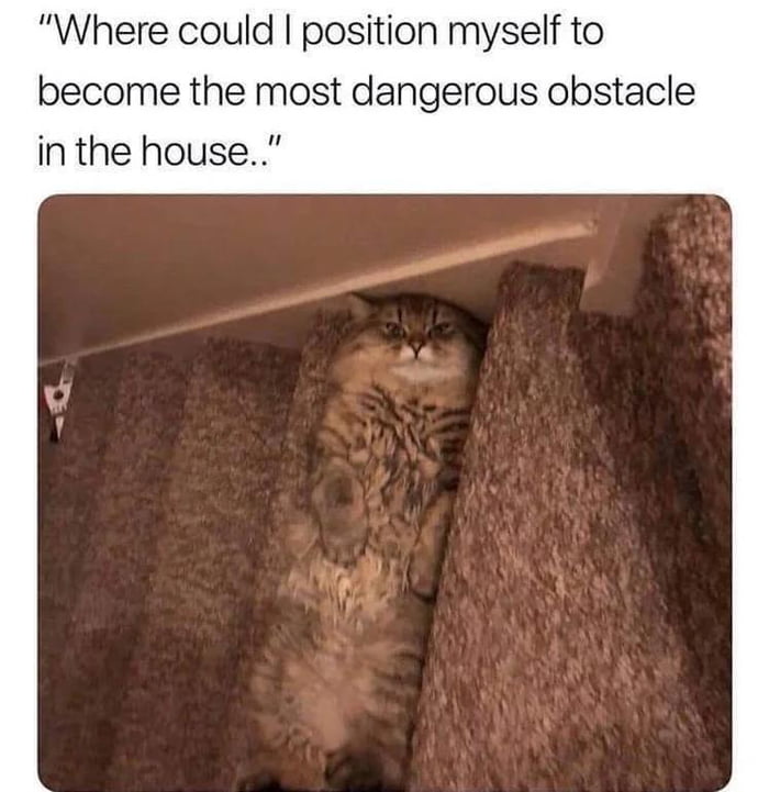 Where could position myself to become the most dangerous obstacle in the house
