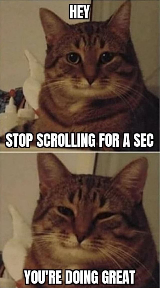 HEY STOP SCROLLING FOR R SEC YOUREDOING GREAT