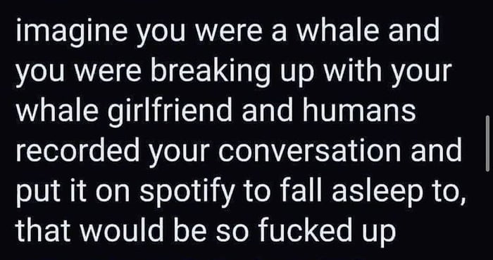 imagine you were a whale and you were breaking up with your WHEICK I igEhle Elals RV E 1 ES recorded your conversation and oIV 1 el N oTo 1 iR ol 1 RET TT ol o LU ETRWo10o Mo T Ko R e To HU0