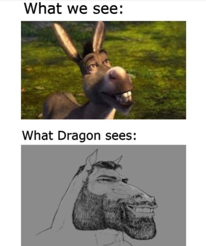 What we see What Dragon sees