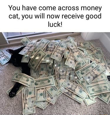 You have come across money cat you will now receive good luck