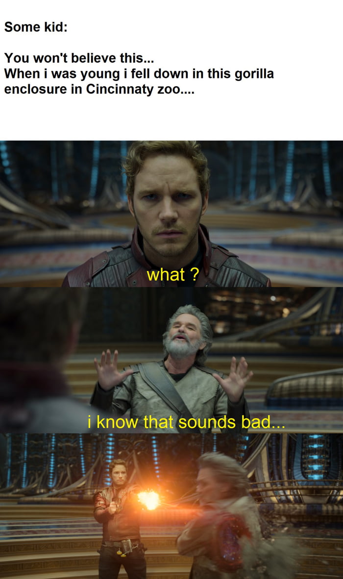 Some kid You wont believe this When i was young i fell down in this gorilla enclosure in Cincinnaty zoo i krow 810 U To S oFTo 8 Ry