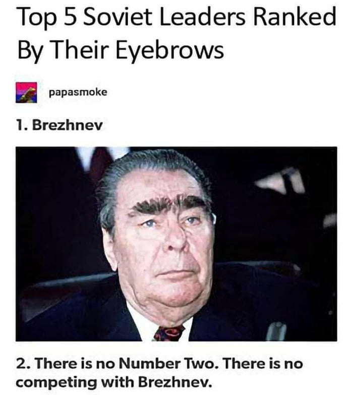 Top 5 Soviet Leaders Ranked By Their Eyebrows papasmoke 1 Brezhnev 2 There is no Number Two There is no competing with Brezhnev