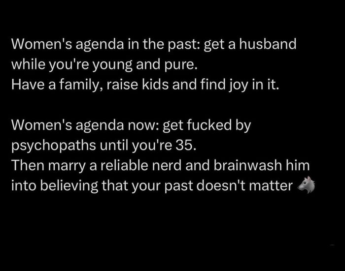 Womens agenda in the past get a husband while youre young and pure Have a family raise kids and find joy in it Womens agenda now get fucked by psychopaths until youre 35 ALE I EIGE T EIEGER ECER T R TR Rl into believing that your past doesnt matter