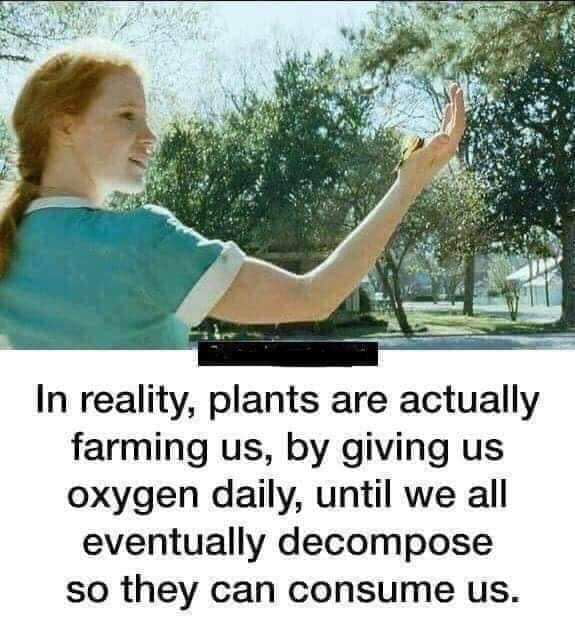 In reality plants are actually farming us by giving us oxygen daily until we all eventually decompose so they can consume us