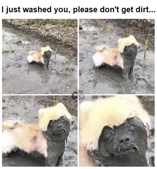 just washed you please dont get dirt s BT