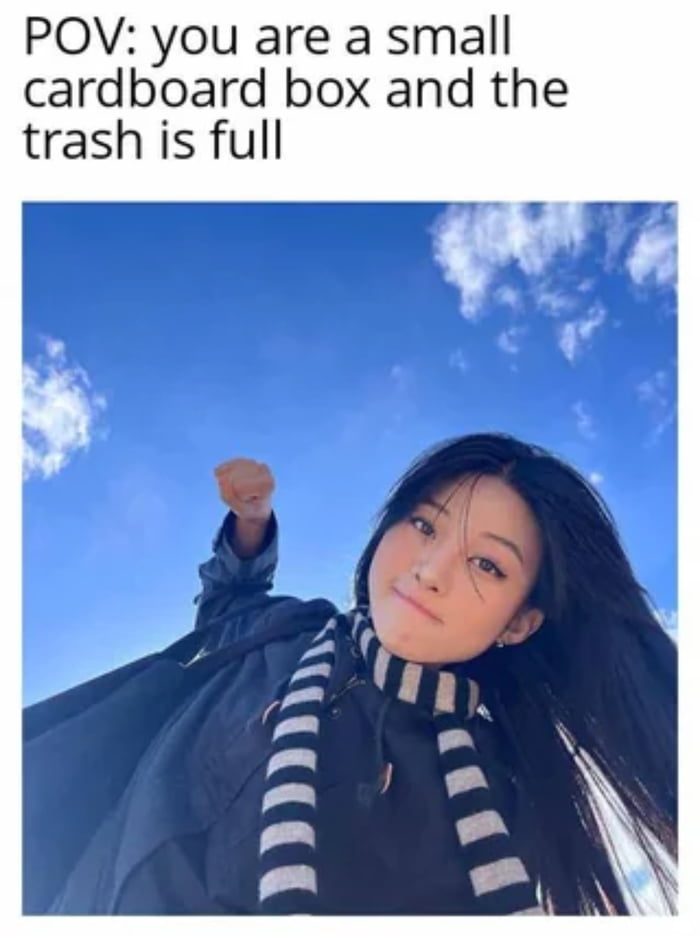 POV: you are a small cardboard box and the trash is full