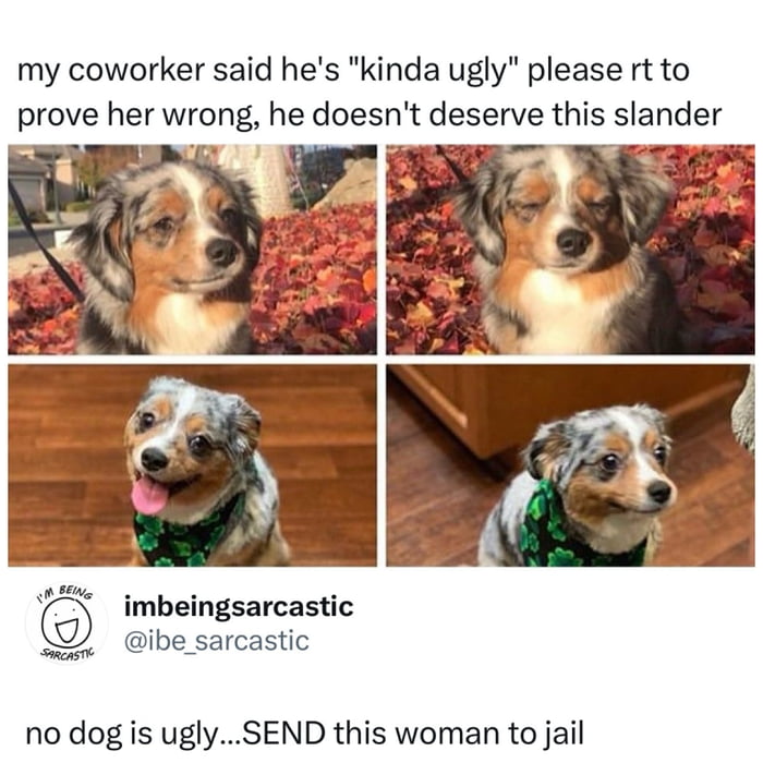 my coworker said he's 