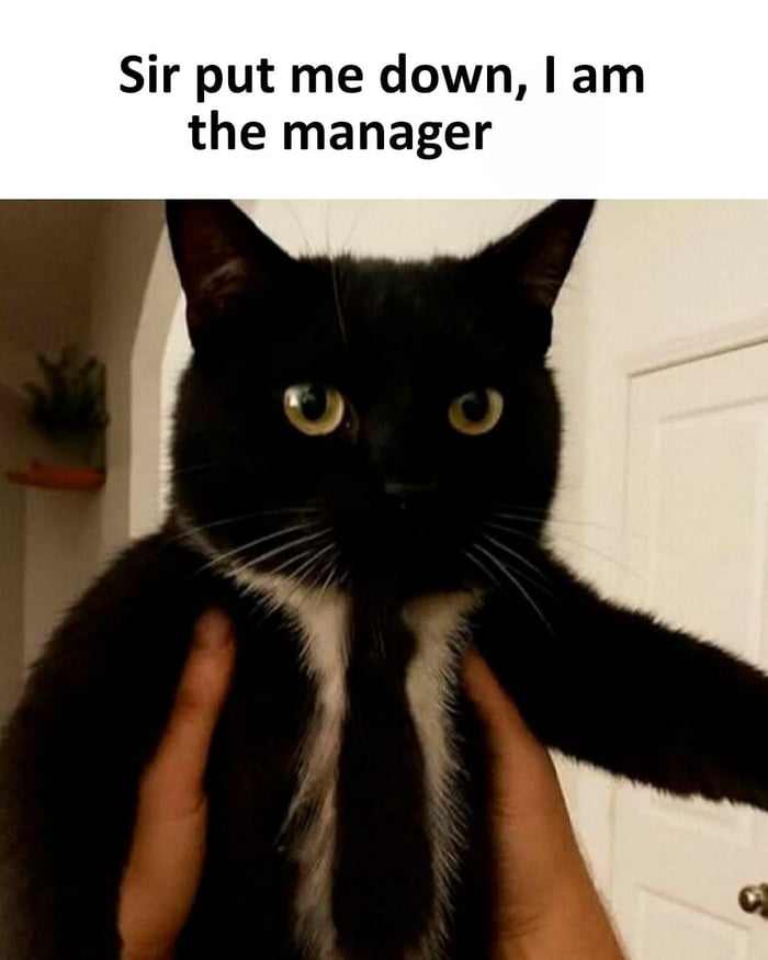 Sir put me down, I am the manager