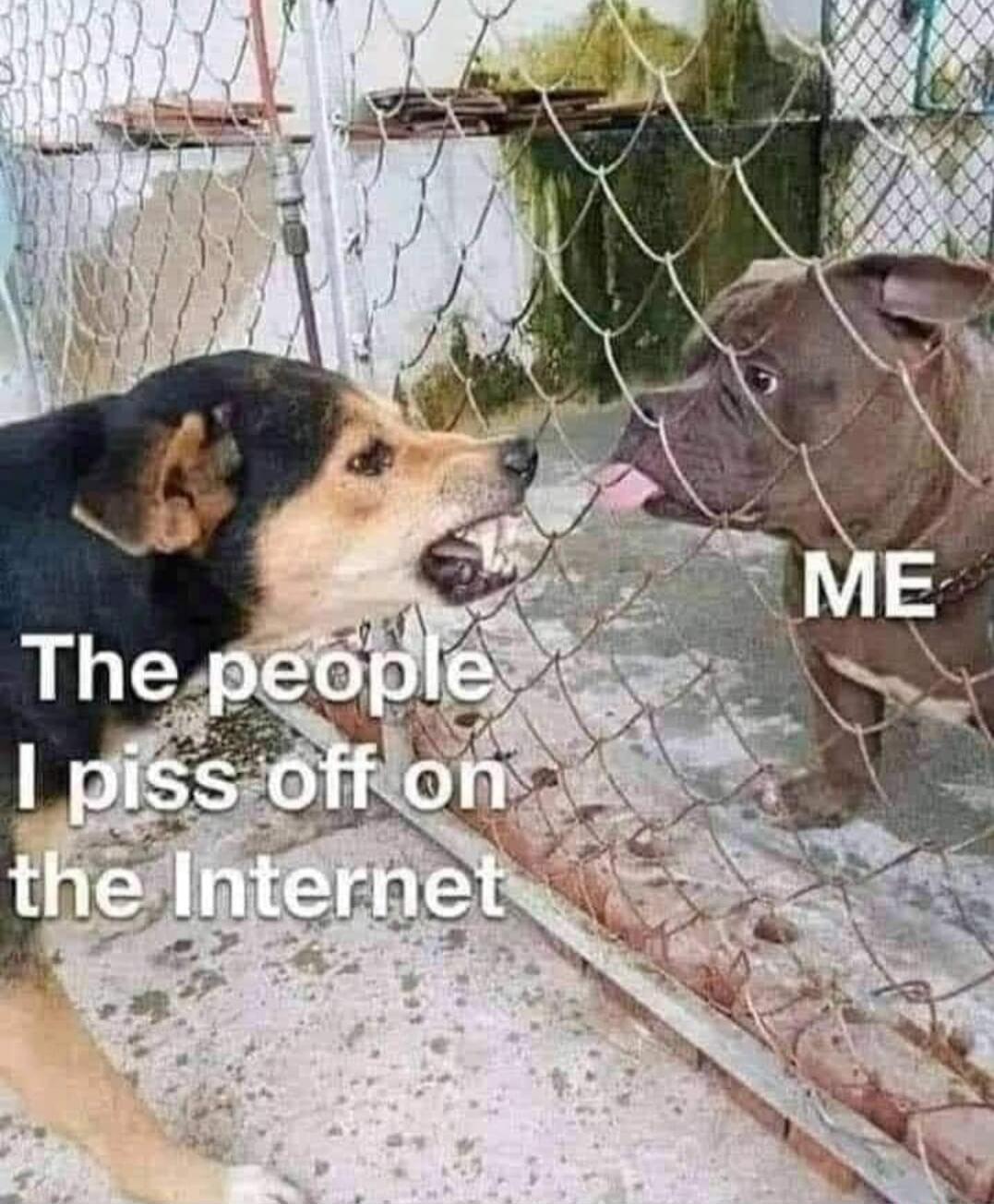 The people I piss off on the Internet ME