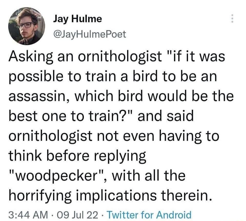 0 Jay Hulme JayHulmePoet Asking an ornithologist if it was possible to train a bird to be an assassin which bird would be the best one to train and said ornithologist not even having to think before replying woodpecker with all the horrifying implications therein 344 AM 09 Jul 22 Twitter for Android
