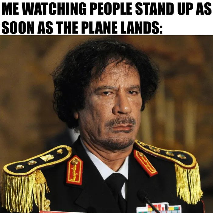 ME WATCHING PEOPLE STAND UP AS SOON AS THE PLANE LANDS: