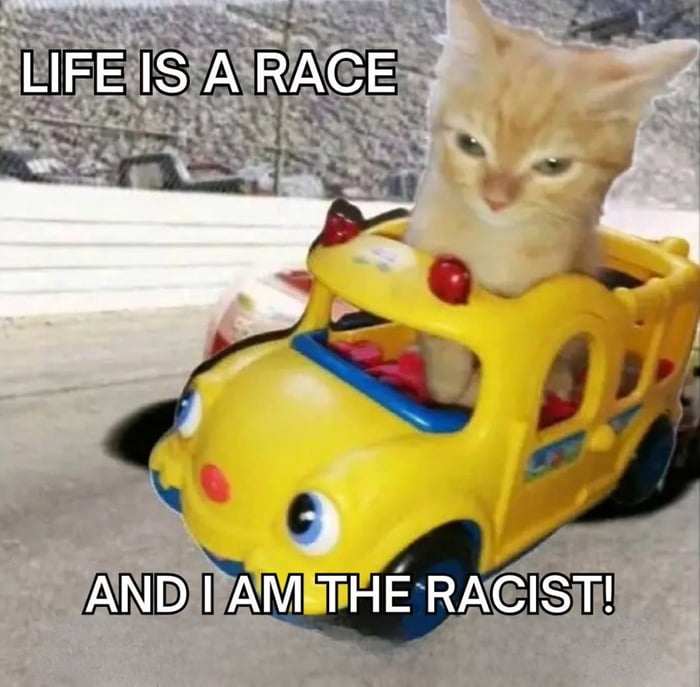 LIFE IS A RACE AND I AM THE RACIST!
