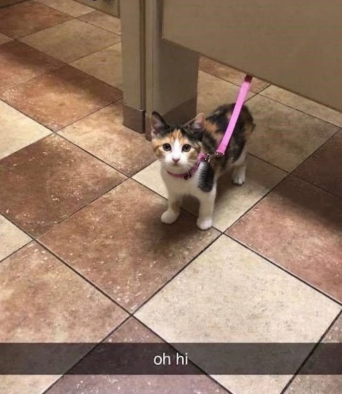 oh hi