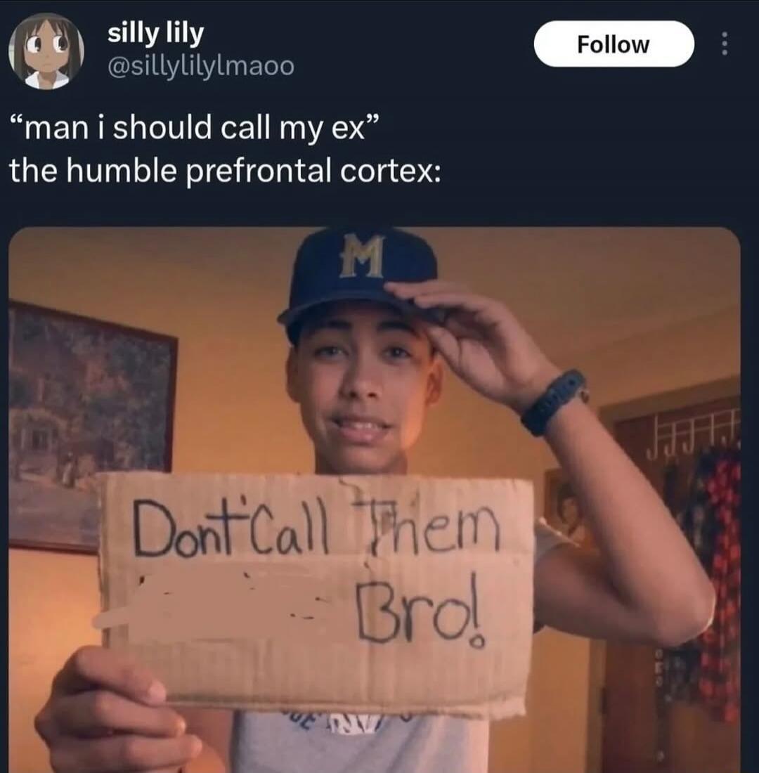 man i should call my ex the humble prefrontal cortex: Don't Call Them Bro!