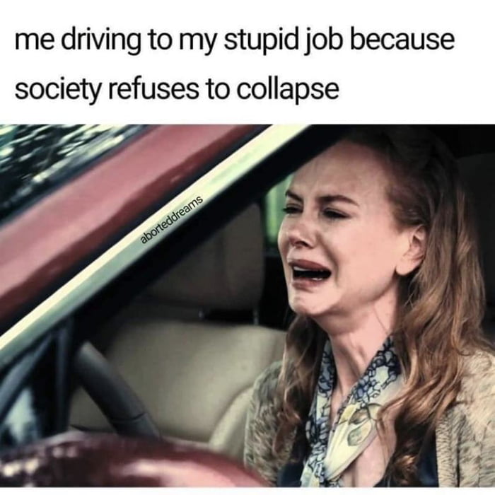 me driving to my stupid job because society refuses to collapse