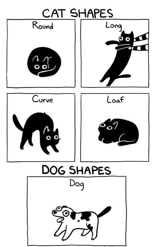 CAT SHAPES Rouvnd LOWj CUTVE L i L DOG SHAPES Dotj 2 L