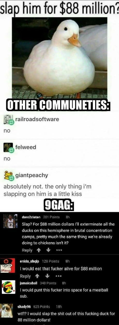 slap him for 88 million OTHER COMMUNETIES 5 railroadsoftware no Bfelweed no glantpeachy absolutely not the only thing im slapping on him is a little kiss 9GAG dare2zlatan 201 Point Slap For 88 million dollars 1l exterminate all the ducks on this hemisphere in brutal concentration camps pretty much the same thing were already doing to chickens isn it CELAE S enido_shalp 128 Points B would eat that 