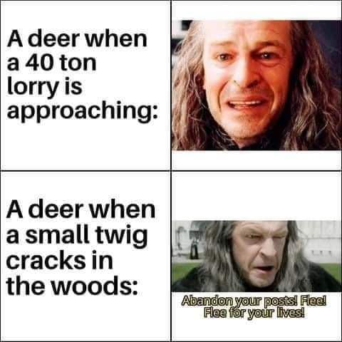 Adeer when a40ton lorry is approaching A deer when a small twig cracksin the woods
